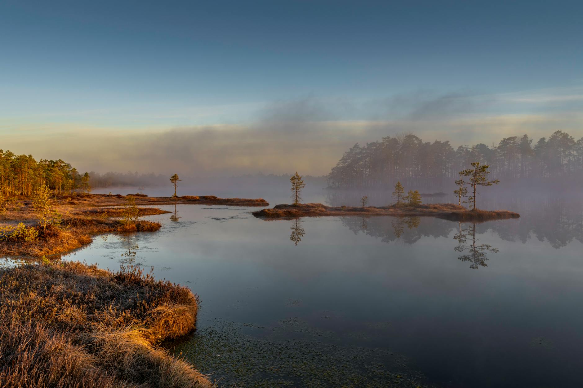 이것도 이끼입니까? — 물이끼, 자기 무게 30배의 물을 머금는 슈퍼 스폰지
