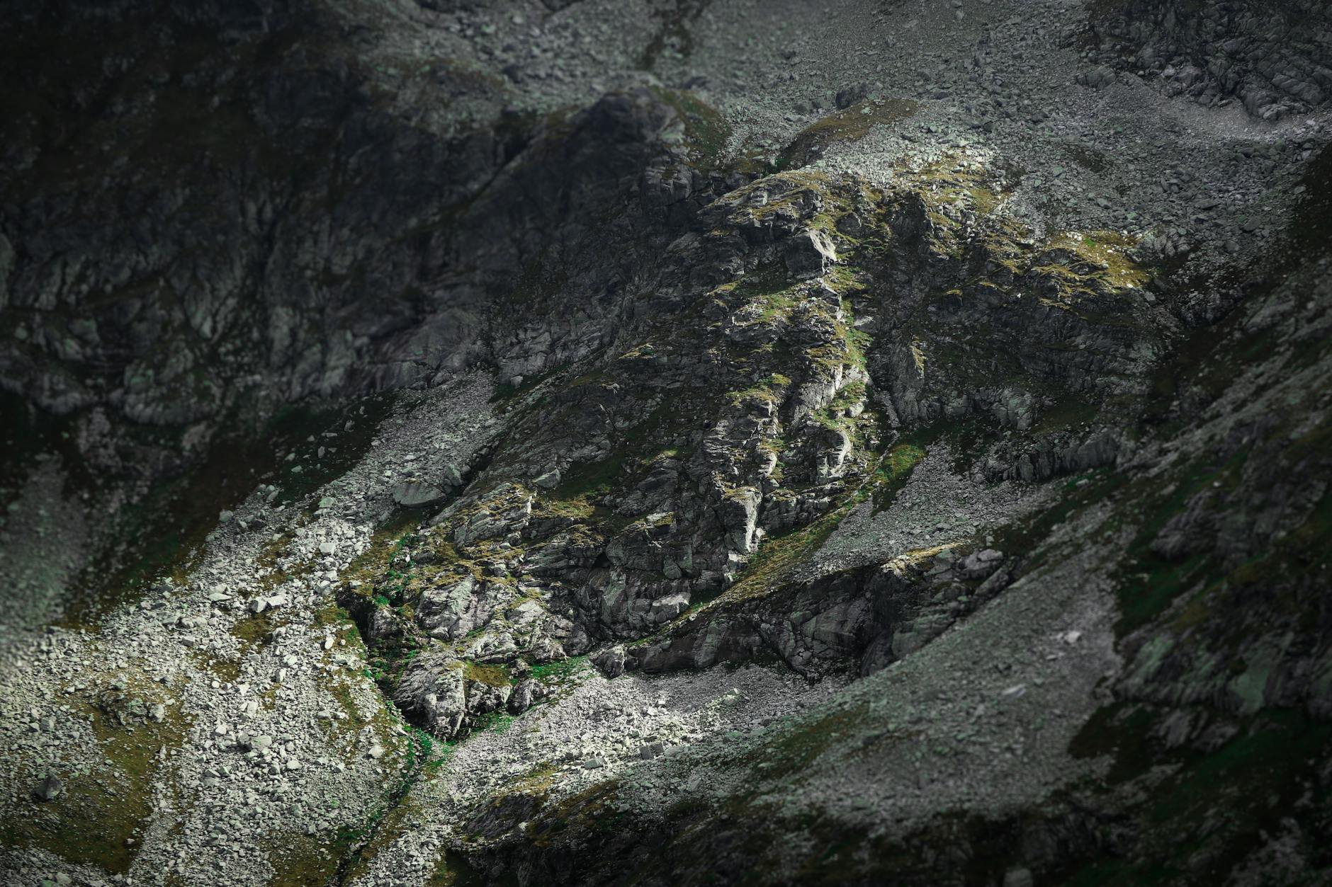 이것도 이끼입니까? — 서리이끼, 바위 위에 서리를 내린 생존 전문가